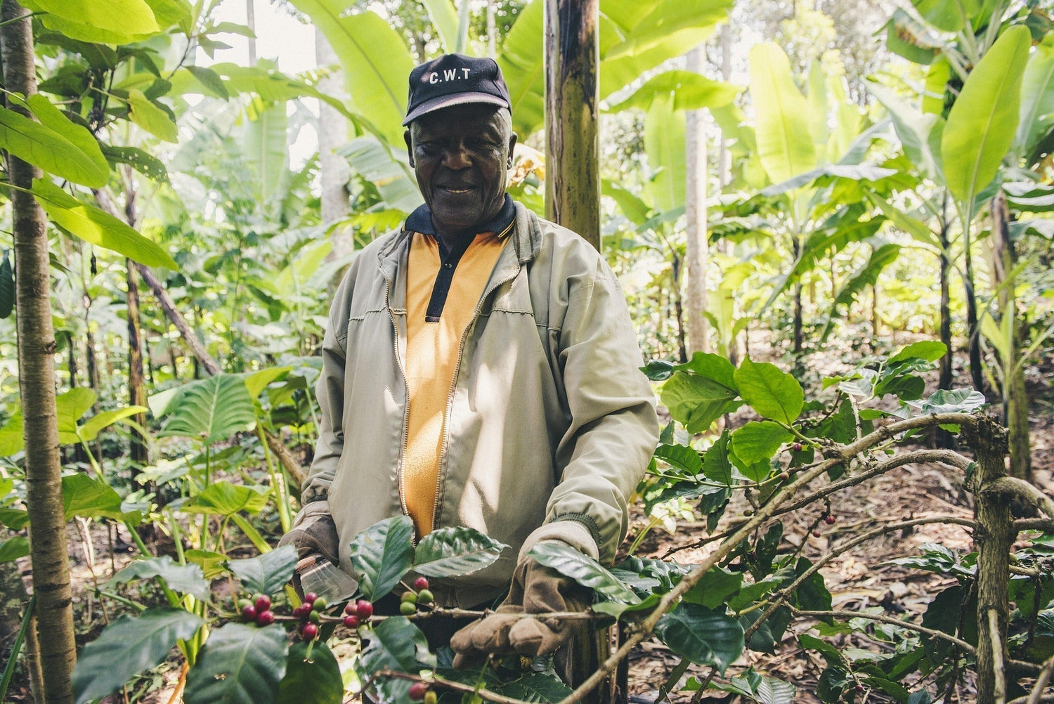 Kaffee aus Afrika