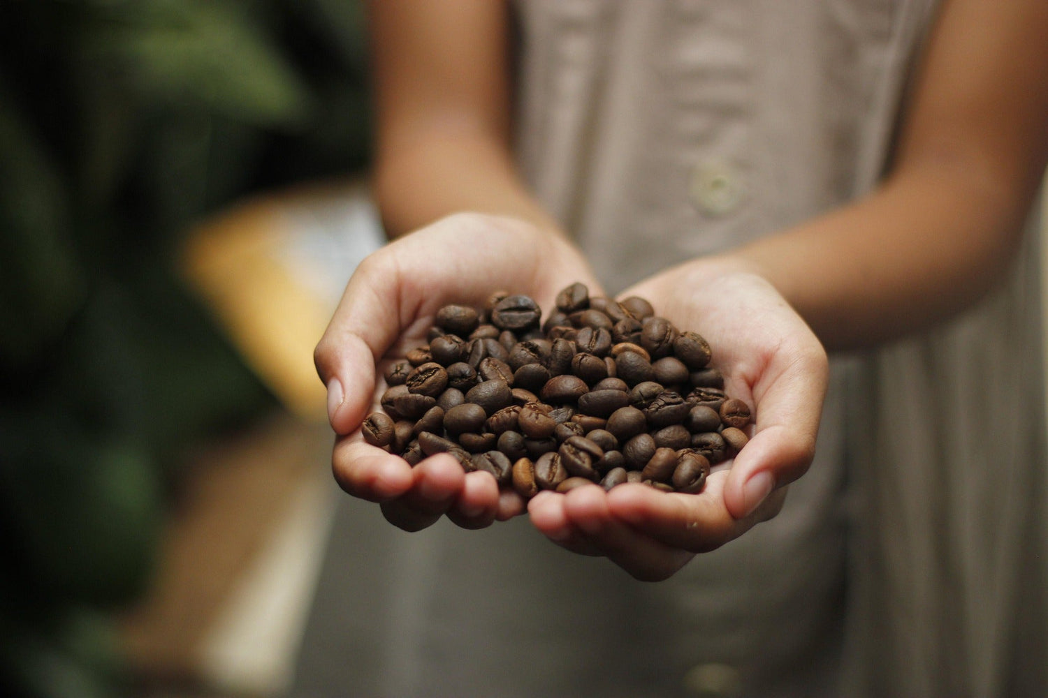 Die teuersten Kaffees der Welt